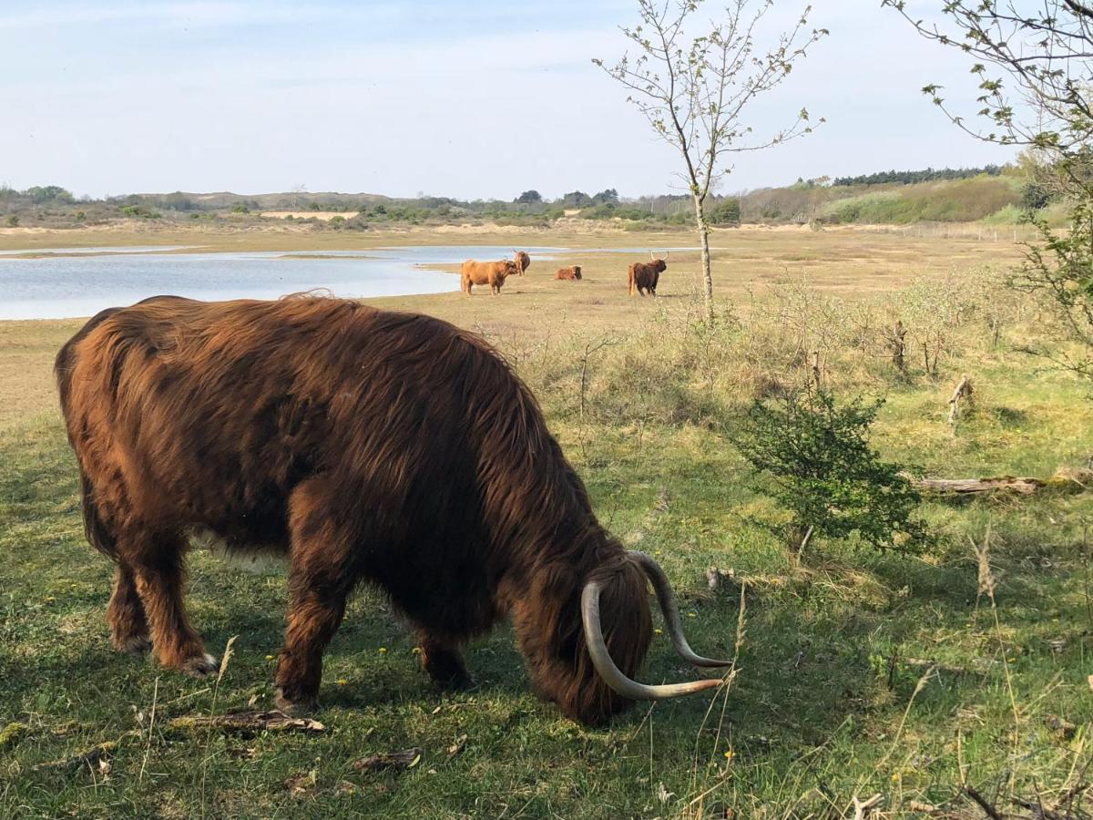 De Duinlopers - Studio Appt Bries - Strand, Duinen En Nabij Cultuur Steden Кастрикюм Экстерьер фото