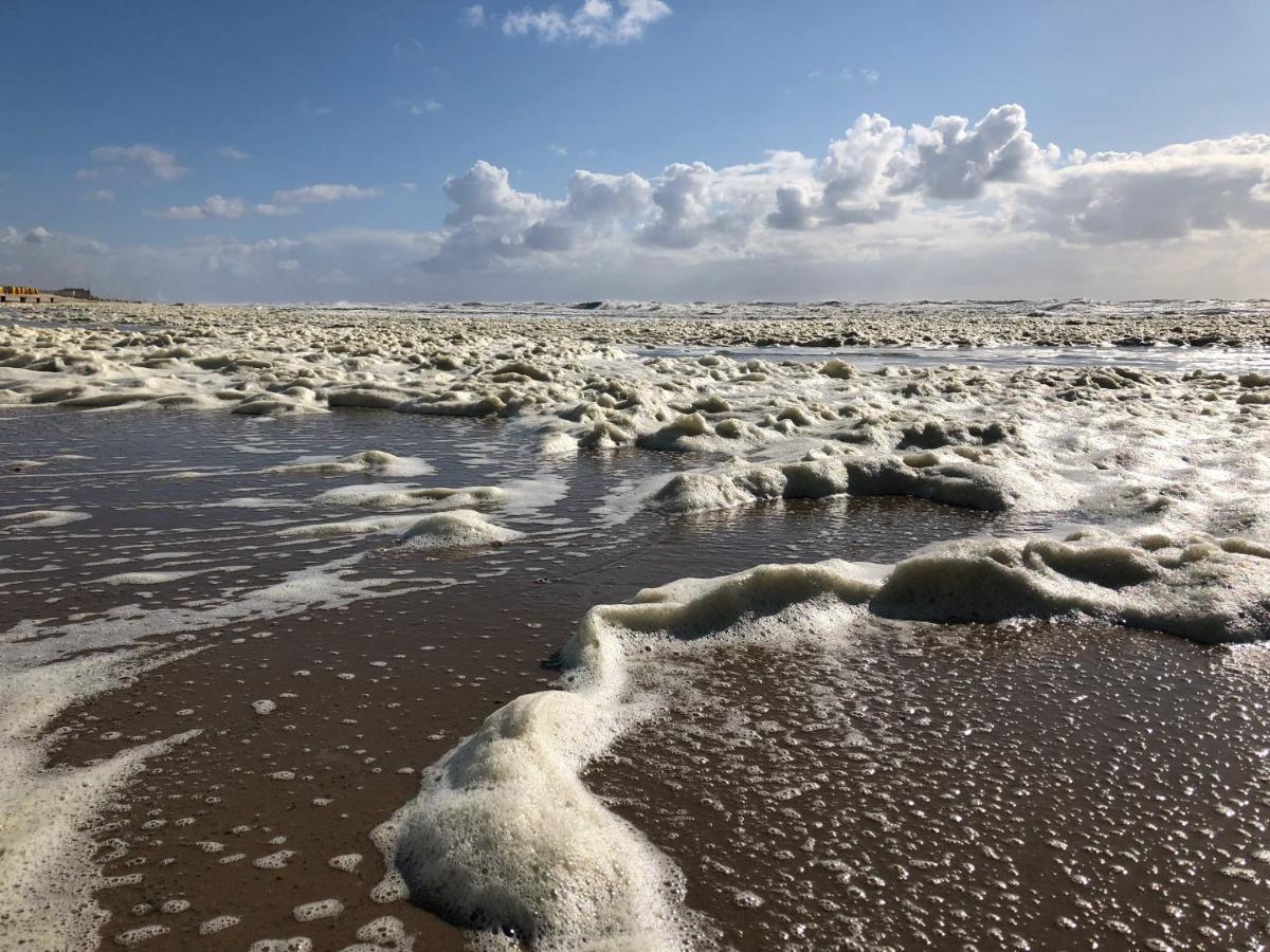 De Duinlopers - Studio Appt Bries - Strand, Duinen En Nabij Cultuur Steden Кастрикюм Экстерьер фото